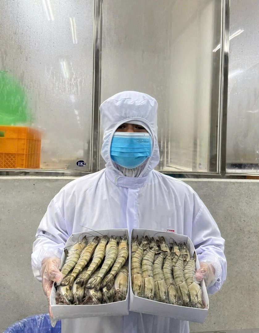 富强坚强水产(金瓯) 实拍
